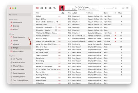 How to Tell How Many Songs You Have on Apple Music: A Detailed Insight